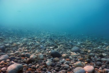 Deniz tabanında Su Altında Kayalar ve Çakıl Taşları