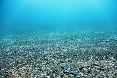 Deniz tabanında Su Altında Kayalar ve Çakıl Taşları