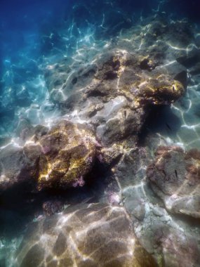 Denizin Altında, Sualtında Yaşam, Suyun Altında Balık Güneş Işığı