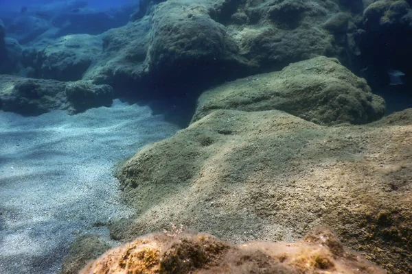 Życie morskie Podwodne Skały Światło słoneczne, Życie podwodne — Zdjęcie stockowe