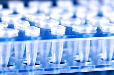 Bilim Plastik Test Santrifüj Tüpleri