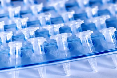 Bilim Plastik Test Santrifüj Tüpleri