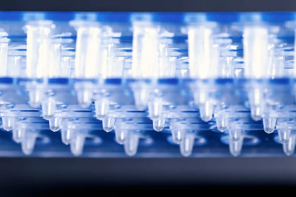 Wissenschaft Kunststoff Testzentrifugenröhrchen — Stockfoto