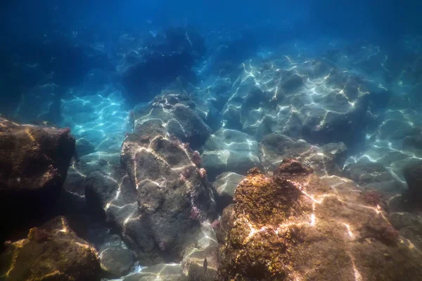 Під Водою Під Водою Сцена Сонячного Світла Рибне Підземне Життя — стокове фото