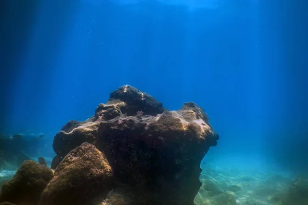 Морская Жизнь Подводные Скалы Солнечный Свет Подводная Жизнь — стоковое фото