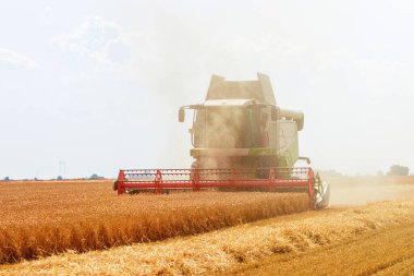 Buğday tarlasını birleştirmek. Sahada çalışmayı birleştir.