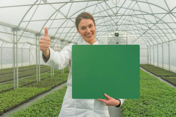 Woman Holding Black Board Space Text Greenhouse Nursery Seedlings Greenhouse — Stock Photo, Image