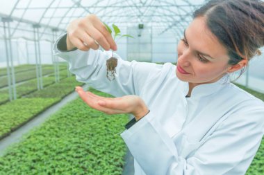 Serada çiçek tutan bir kadın var. Çekirdekler Sera.