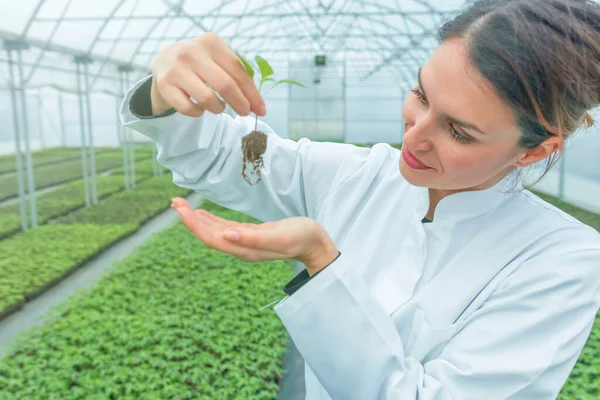 Serada çiçek tutan bir kadın var. Çekirdekler Sera.