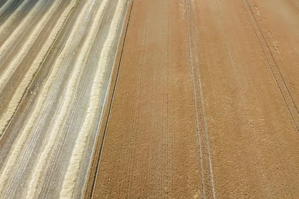 Areal View Crop Fields Sunny Summer Day Wheat Harvest — Stock Photo, Image