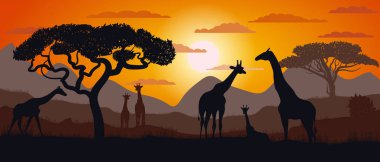 Afrika savanasının zürafa silueti. Manzara. Afrika. Parlak vektör çizimi. Vahşi yaşam.