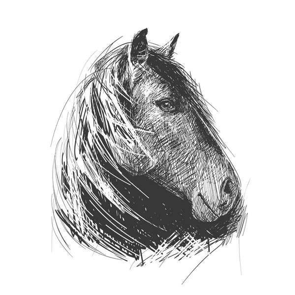 Bir at başı, gösterimi yapılan gravür tarzında. El yapımı. Dövme için uygundur. — Stok Vektör
