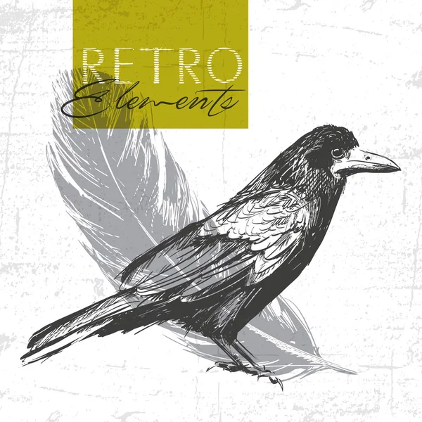 Vector vintage cuervo. ilustración dibujada a mano . — Archivo Imágenes Vectoriales