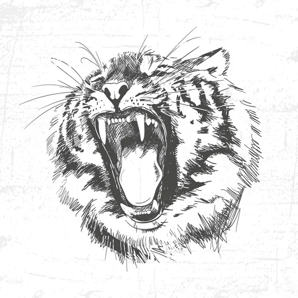 Głowa - Tygrys-sylwetka wektor ilustracja na białym tle. Zobacz też inne zestawy zwierząt. — Wektor stockowy