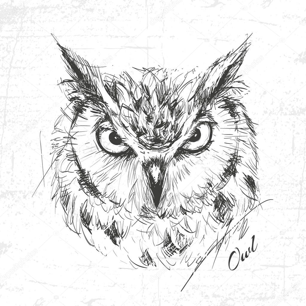 Owl sketch drawn hands, vector illustration — Stock Vector © hope
