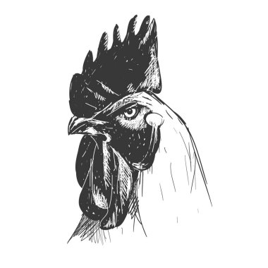 vintage tarzı horoz kafasına. Yeni yılın gelişi sembolü