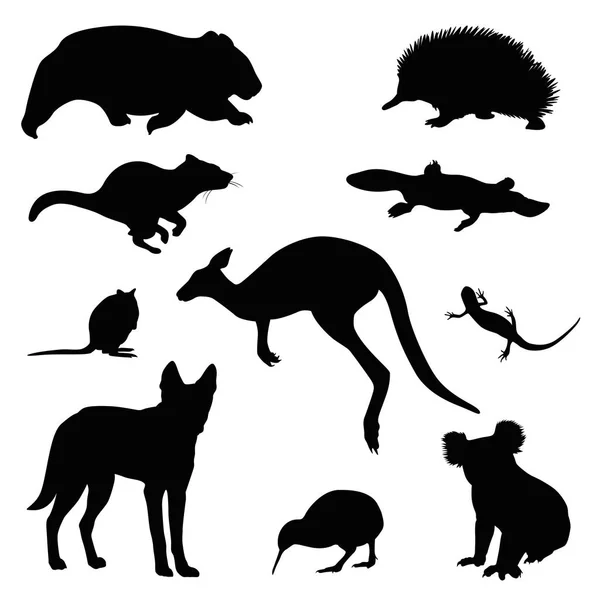 Australian animal vector set — Stock Vector