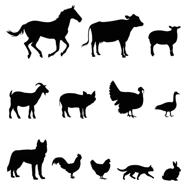 Animales de granja vector ilustración conjunto — Archivo Imágenes Vectoriales