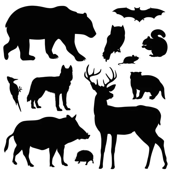 Skogens djur vektor illustration set — Stock vektor