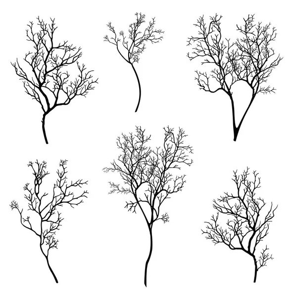 Baum Ast Silhouette Set — Stockvektor