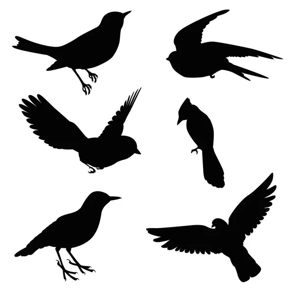 Силуэт птиц Лицензионные Стоковые Иллюстрации