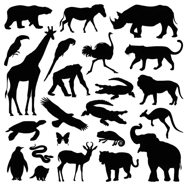 Набор иллюстраций для животных зоопарка — стоковый вектор