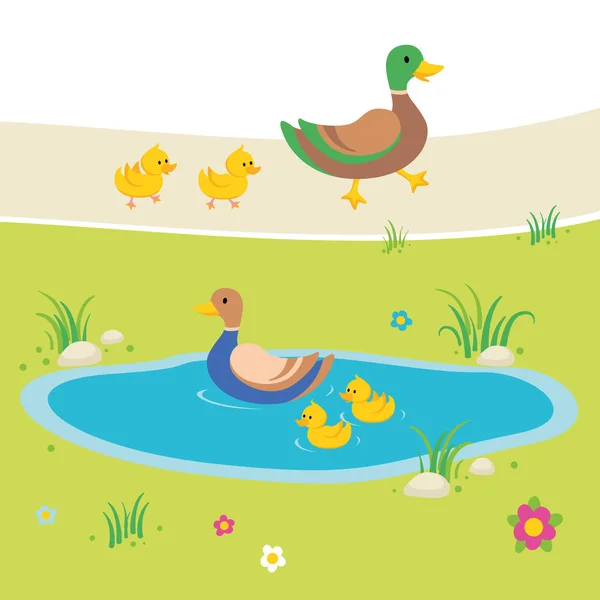 Enten im Teich Illustration — Stockvektor