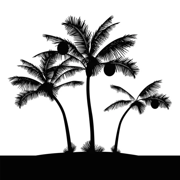 Пальмы тропических островов Стоковый вектор