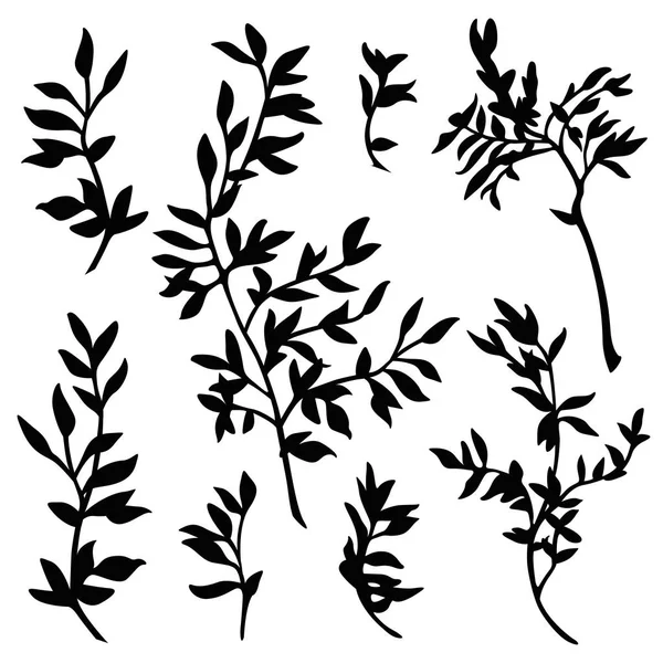 Векторный набор ветвей силуэта Стоковая Иллюстрация