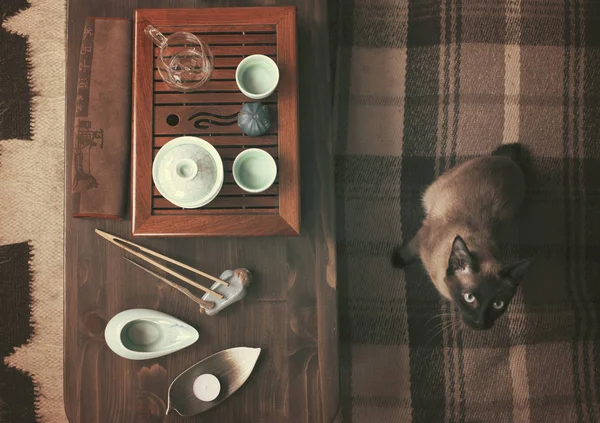 Tea ceremony process — Stock Photo, Image