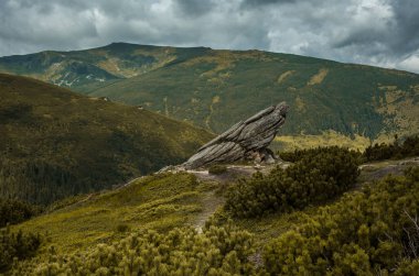 İnanılmaz dağ manzarası.