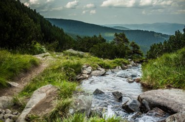 Karpat Dağları'nın Güzellik
