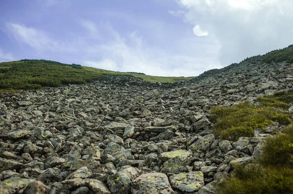 Beleza das montanhas dos Cárpatos — Fotografia de Stock