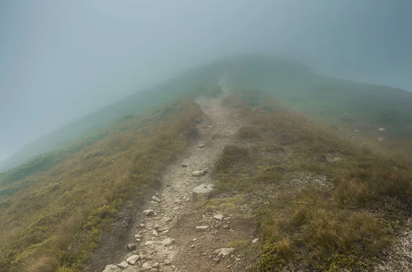 Montañas de Cárpatos cubiertas de niebla — Foto de Stock
