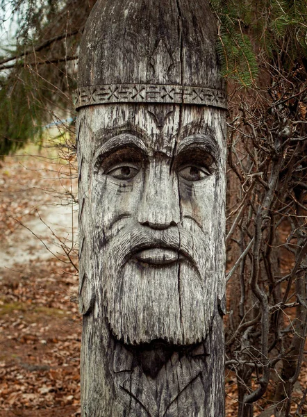 Sculpture Bois Abandonnée Dans Les Montagnes Des Carpates — Photo