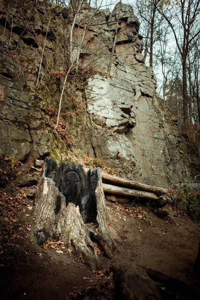 Frammenti Natura Paesaggistica Nelle Montagne Carpatiche — Foto Stock