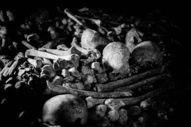 Paris Catacombs'ta kafatasları ve kemikler, Fransa.