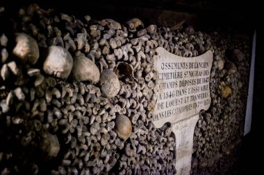 Paris Catacombs'ta kafatasları ve kemikler, Fransa.