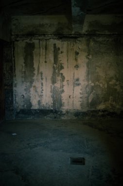 Auschwitz, Polonya - 25 Kasım 2019. Auschwitz toplama kampının bir parçası.