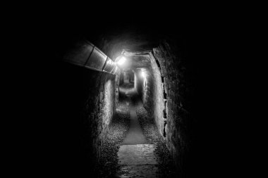 Paris Catacombs'ta kafatasları ve kemikler, Fransa.