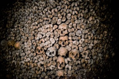 Paris Catacombs'ta kafatasları ve kemikler, Fransa.