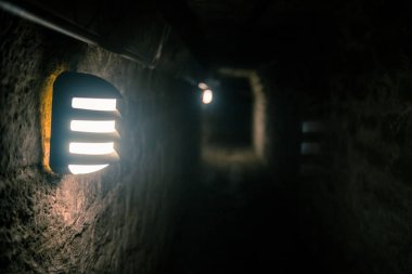 Paris Catacombs'ta kafatasları ve kemikler, Fransa.