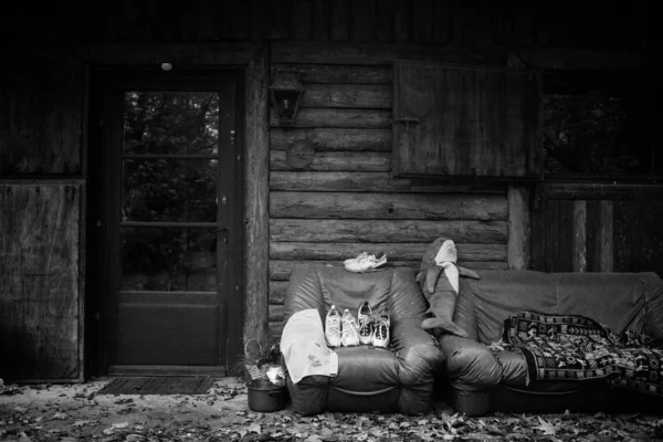 コーチとアームチェア付きの森の中の木造小屋 — ストック写真