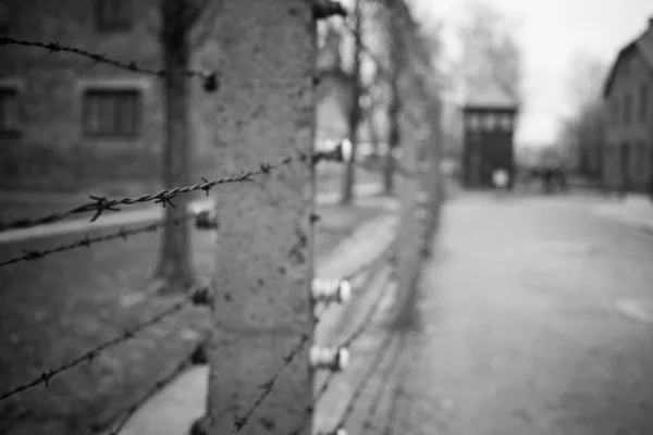 Auschwitz Pologne Novembre 2019 Partie Camp Concentration Auschwitz — Photo