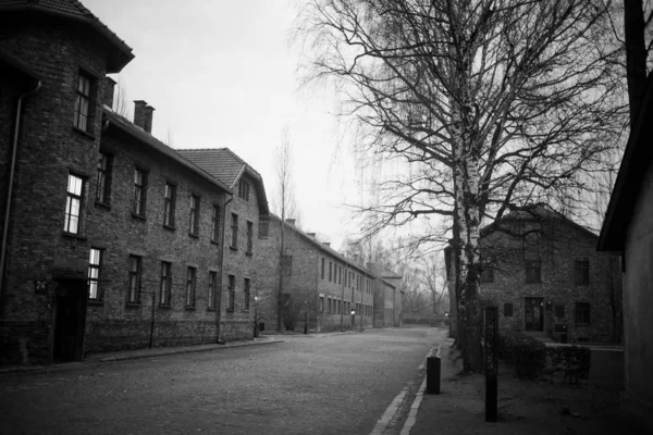 Auschwitz Polonia Noviembre 2019 Parte Del Campo Concentración Auschwitz —  Fotos de Stock