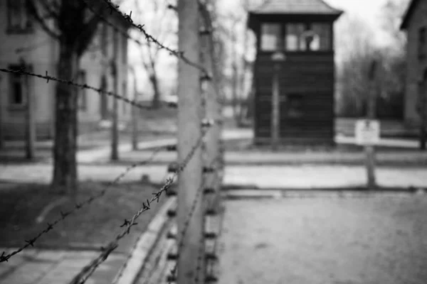 Auschwitz Polonia Novembre 2019 Parte Del Campo Concentramento Auschwitz — Foto Stock