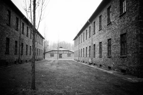 Auschwitz Polonia Noviembre 2019 Parte Del Campo Concentración Auschwitz — Foto de Stock