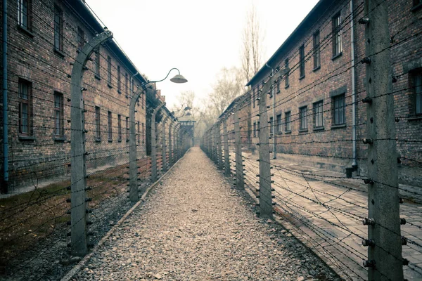 Auschwitz Polónia Novembro 2019 Parte Campo Concentração Auschwitz — Fotografia de Stock