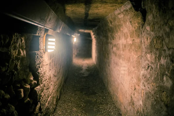 Черепа Кости Paris Catacombs France — стоковое фото