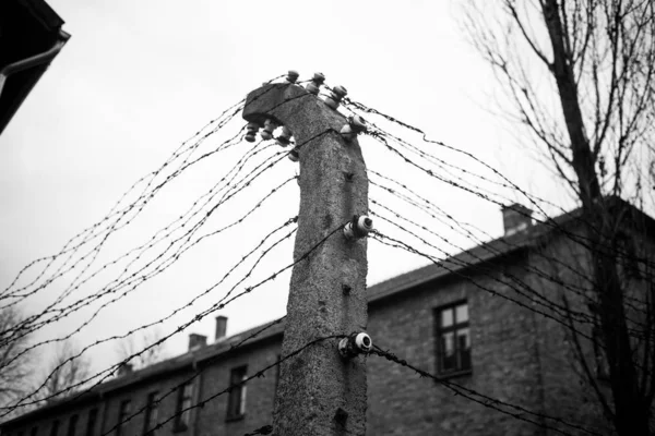 Auschwitz Pologne Novembre 2019 Partie Camp Concentration Auschwitz — Photo